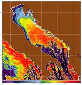 AVHRR sea surface temperature image