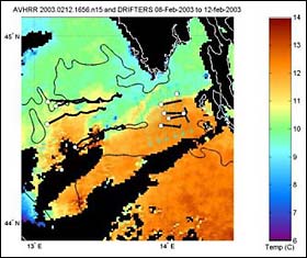Sea surface temperature at the Istrian front